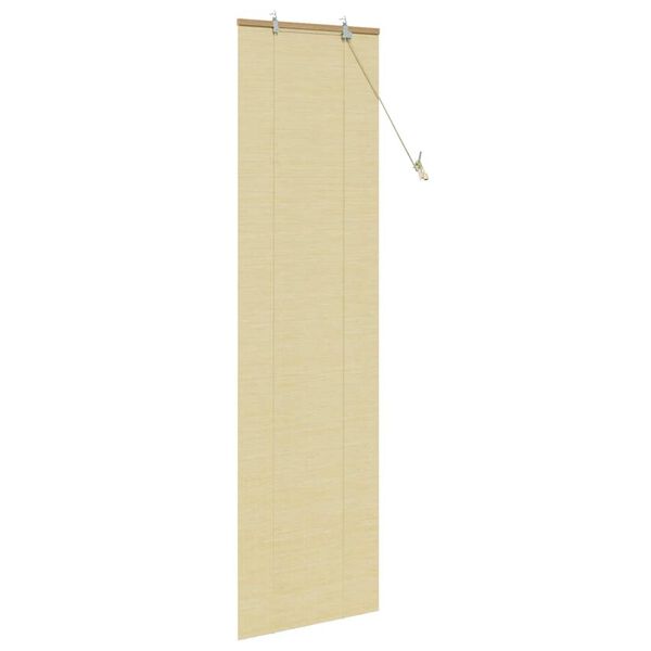 vidaXL Rullegardin med gardiner Natur 60 x 220 cm Bambus