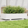 vidaXL plantekasse 110x60x26,5 cm massivt fyrretr&aelig; hvid