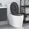 vidaXL Hurtig Udl&oslash;snings Toiletbr&aelig;t Antracit 44.5 x 37.3 x 4.3 cm