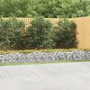 vidaXL buet gabion-h&oslash;jbed 800x100x50 cm galvaniseret jern