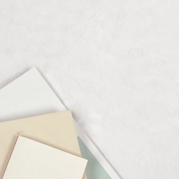 vidaXL Faux Kanin Pels Tæppe Olite Hvid 60 x 90 cm Polyester