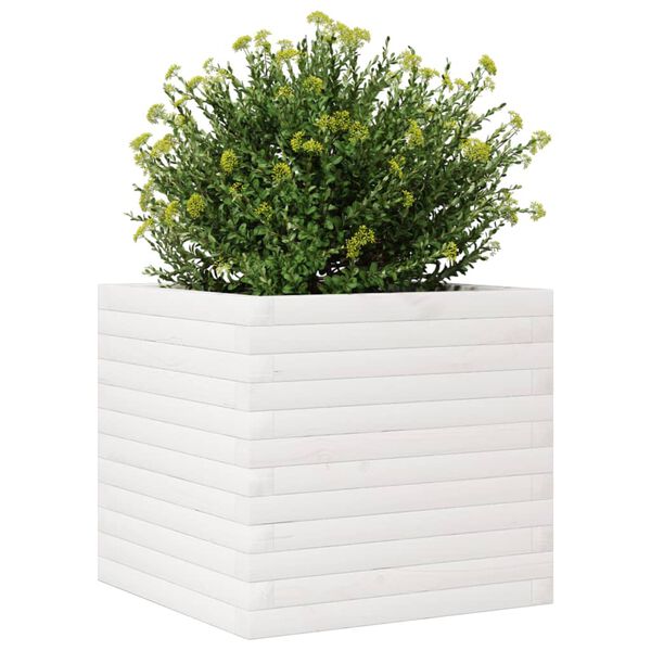 vidaXL plantekasse 50x50x45,5 cm massivt fyrretræ hvid