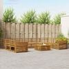 vidaXL Sofas&aelig;t 10 pcs Naturfarvet Massivt Akacietr&aelig;