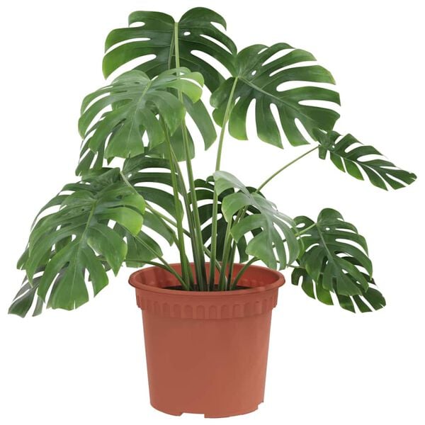 vidaXL Rund Blomsterpotte 6 pcs Mursten R&oslash;d &Oslash; 12,5 x 10 cm Plastik