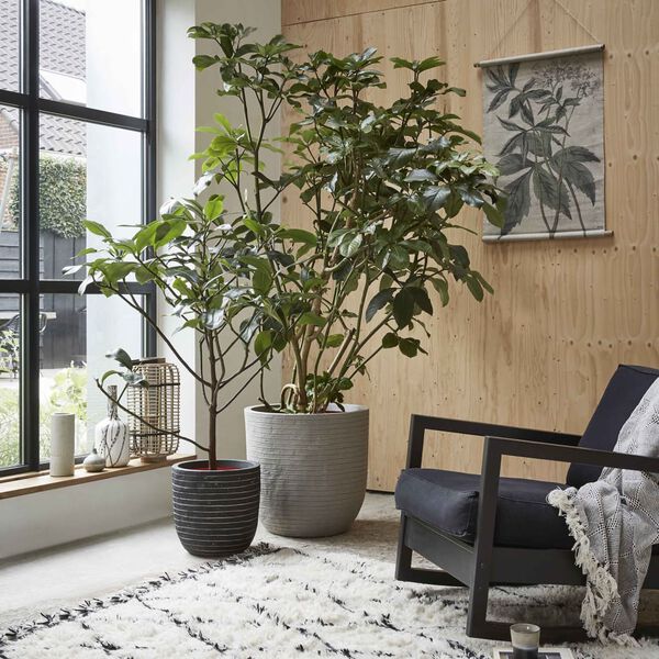 Capi krukke Nature Row 54x52 cm antracitgrå KRWZ935