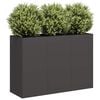 vidaXL plantekasse 120x40x80 cm koldvalset st&aring;l sort