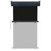 vidaXL sidemarkise til altan 105x250 cm sort