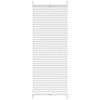Plisserede blinde 60x100 cm hvid