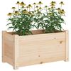 vidaXL plantekasse 60x31x31 cm massivt fyrretræ