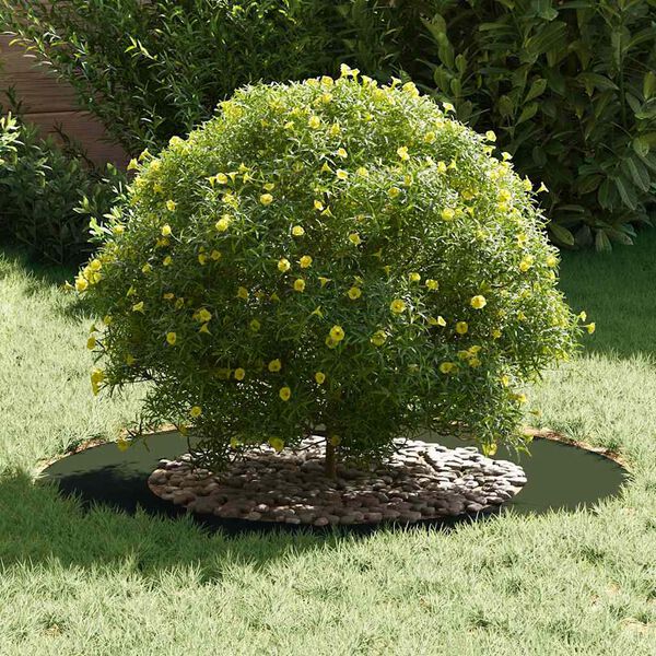 vidaXL egnet til flade tr&aelig;ริงe 5 pcs Olivengr&oslash;n &Oslash;50 / 80 cm St&aring;l