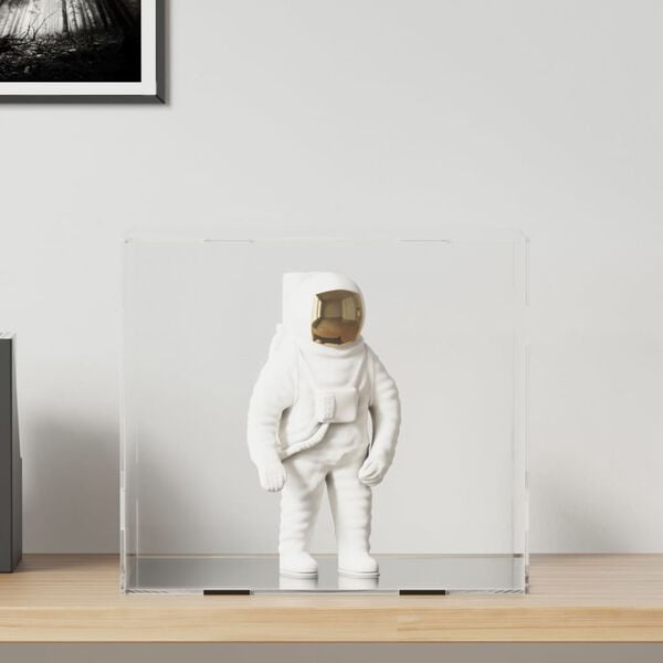 vidaXL displaykasse transparent 40x36x35 cm akryl