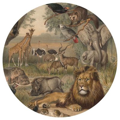 WallArt tapetcirkel Animals of Africa 142,5 cm