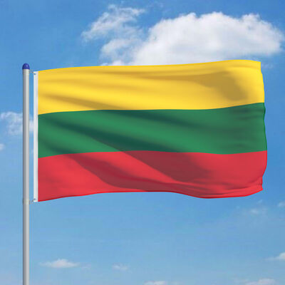 vidaXL Litauens flag og flagstang 6 m aluminium