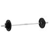 vidaXL v&aelig;gtstang med skiver 60 kg st&oslash;bejern