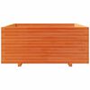 vidaXL plantekasse 110x110x49,5 cm massivt fyrretr&aelig; gyldenbrun
