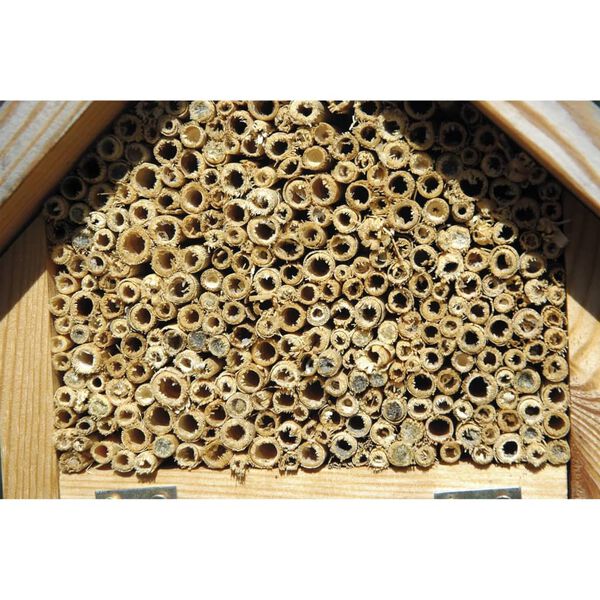 dobar insekthotel naturfarvet + r&oslash;d og gr&oslash;n