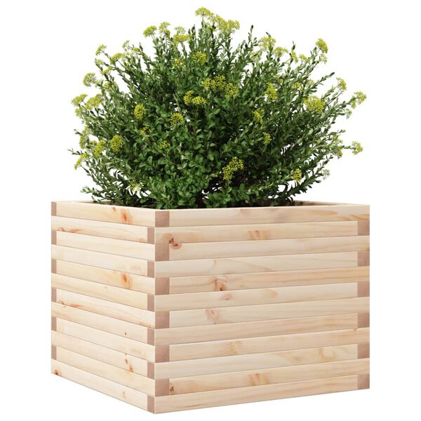 vidaXL plantekasse 60x60x45,5 cm massivt fyrretr&aelig;