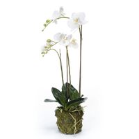 Emerald kunstig phalaenopsis-orkidé 70 cm hvid