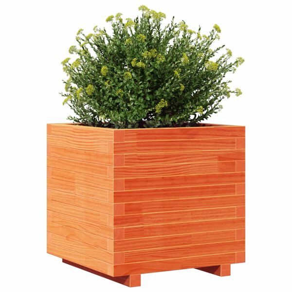 vidaXL plantekasse 50x50x49,5 cm massivt fyrretr&aelig; gyldenbrun