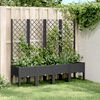 vidaXL plantekasse med espalier 160x40x142 cm PP sort
