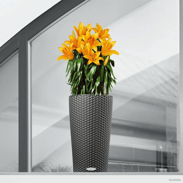 LECHUZA plantekrukke CILINDRO Cottage 23 ALL-IN-ONE 23 cm gr&aring;sort