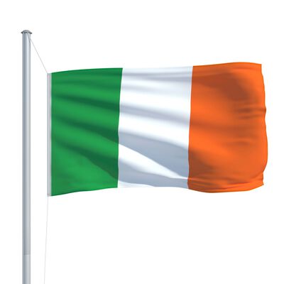 vidaXL Irlands flag og flagstang 6,2 m aluminium