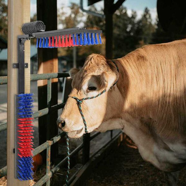 vidaXL Kvæg Børster Indstillelig Rød og blå 84 x 10 x 91 cm PVC