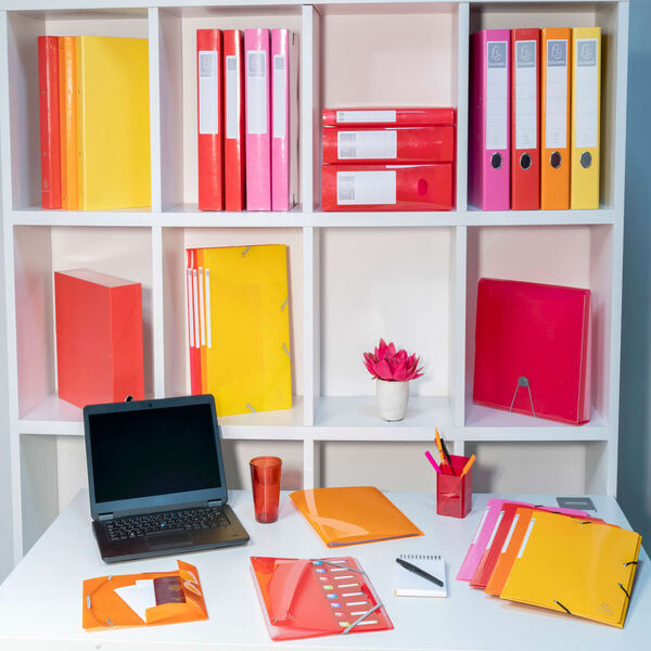 Exacompta ringbind med 2 ringe Iderama A4 30 mm