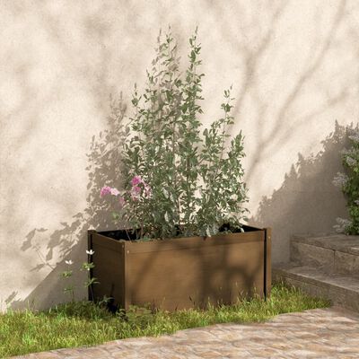 vidaXL plantekasser 2 stk. 100x50x50 cm massivt fyrretræ gyldenbrun