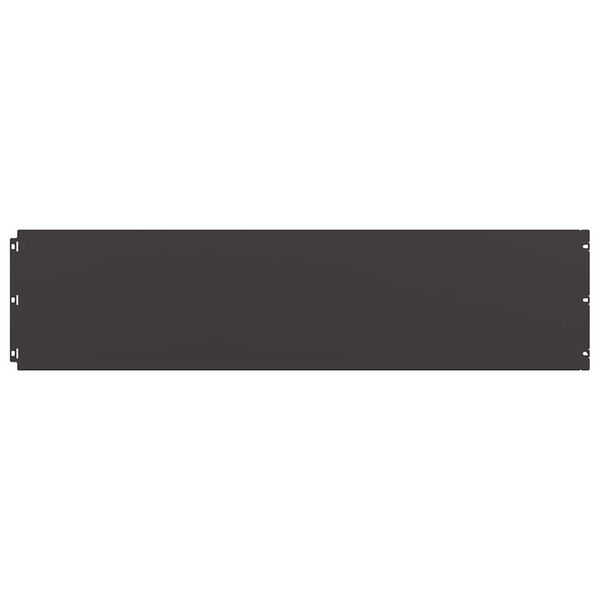 vidaXL pl&aelig;nekanter 10 stk. 25x103 cm koldvalset st&aring;l sort