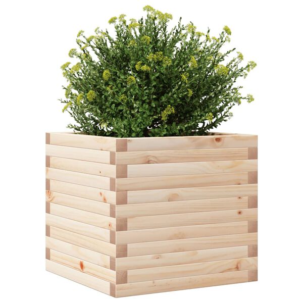 vidaXL plantekasse 50x50x45,5 cm massivt fyrretr&aelig;