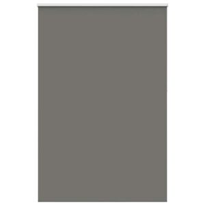 vidaXL rullegardin m&oslash;rkl&aelig;gning 160x210 cm stofbredde 156,6cm polyester