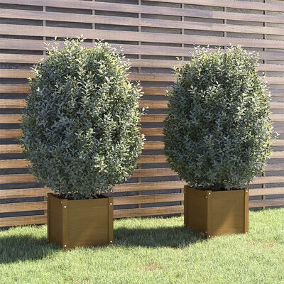 vidaXL plantekasser 2 stk. 40x40x40 cm massivt fyrretræ gyldenbrun