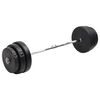 vidaXL curl-v&aelig;gtstang med skiver 90 kg