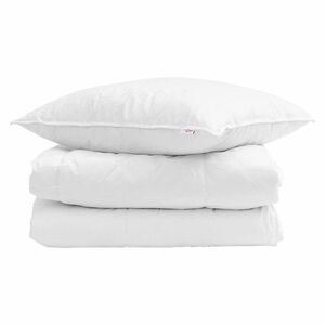 vidaXL Vinter dyne med pude 2 pcs Hvid Dunfjer