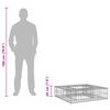 vidaXL Gabion h&oslash;jbed S&oslash;lv 80 x 80 x 20 cm Galvaniseret st&aring;l
