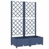 Blue_grey