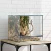 vidaXL Terrarium med opbevaring Transparent 30 x 30 x 30 cm Glas