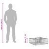 vidaXL Gabion h&oslash;jbed S&oslash;lv 60 x 60 x 20 cm Galvaniseret st&aring;l