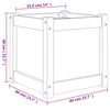 vidaXL plantekasse 40x40x40 cm massivt fyrretræ
