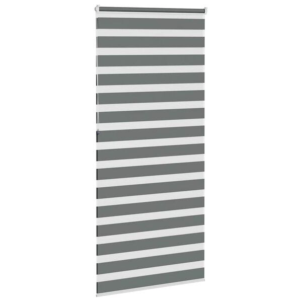 vidaXL zebragardin m&oslash;rkegr&aring; 100x230 cm stofbredde 95,9 cm polyester