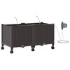 vidaXL Havekrukke med vanding og hjul 2 stk. Brun 80 x 40 x 43,5 cm PP