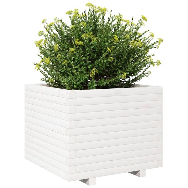 vidaXL plantekasse 60x60x49,5 cm massivt fyrretr&aelig; hvid