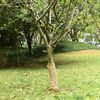 Produktminiaturebillede 2 af 7