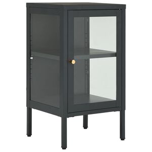 vidaXL sk&aelig;nk 38x35x70 cm st&aring;l og glas antracitgr&aring;