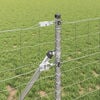 Produktminiaturebillede 4 af 17