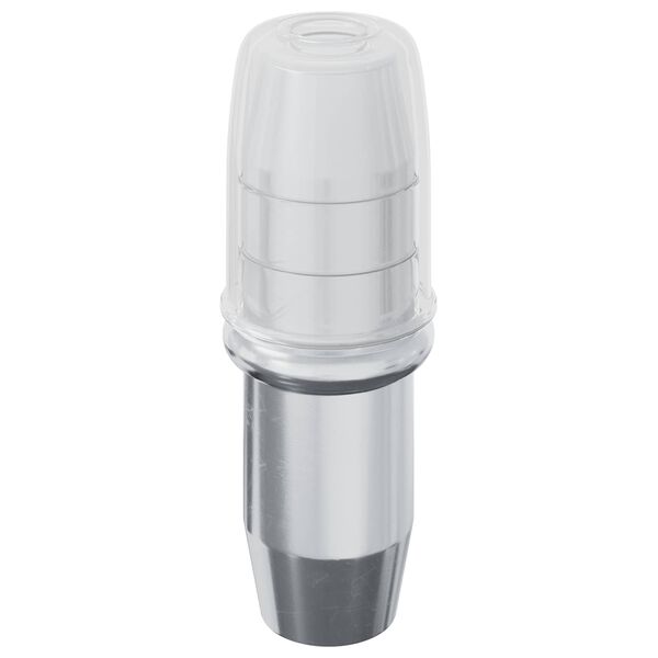 vidaXL Hylde Peg 2 pcs S&oslash;lv 7 x 16 mm Jern