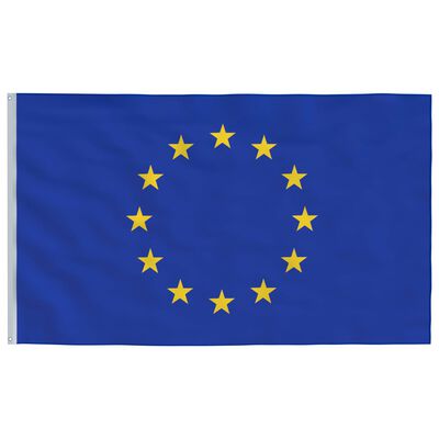 vidaXL Europaflag og flagstang 5,55 m aluminium