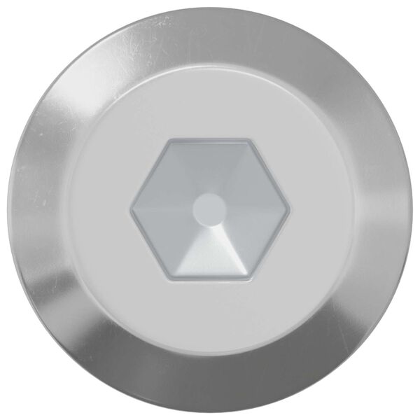 vidaXL Skrue 2 pcs S&oslash;lv M6 x 60 mm St&aring;l