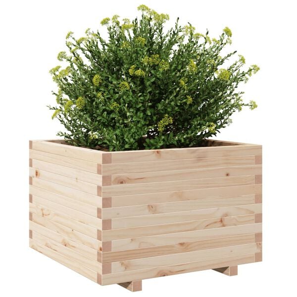 vidaXL plantekasse 70x70x49,5 cm massivt fyrretr&aelig;